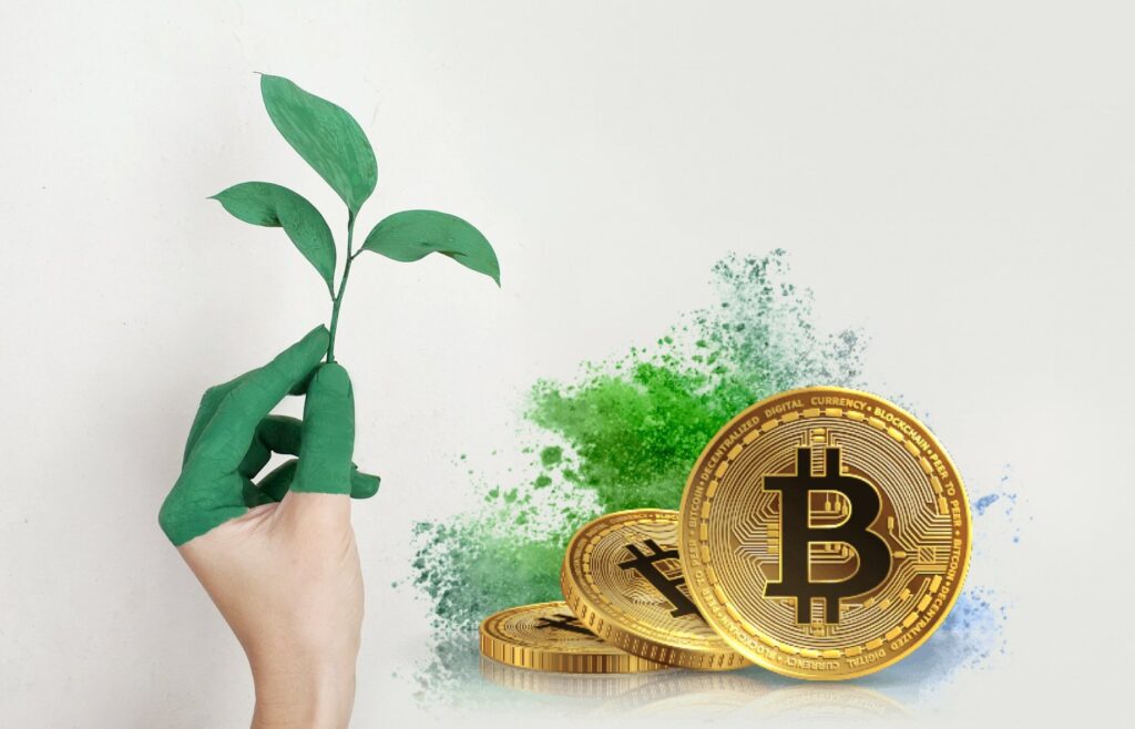 bitcoin plus vert